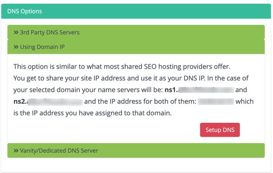 server DNS vanity - IP yang sama