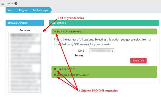 Smart SEO DNS Manager - Antarmuka utama